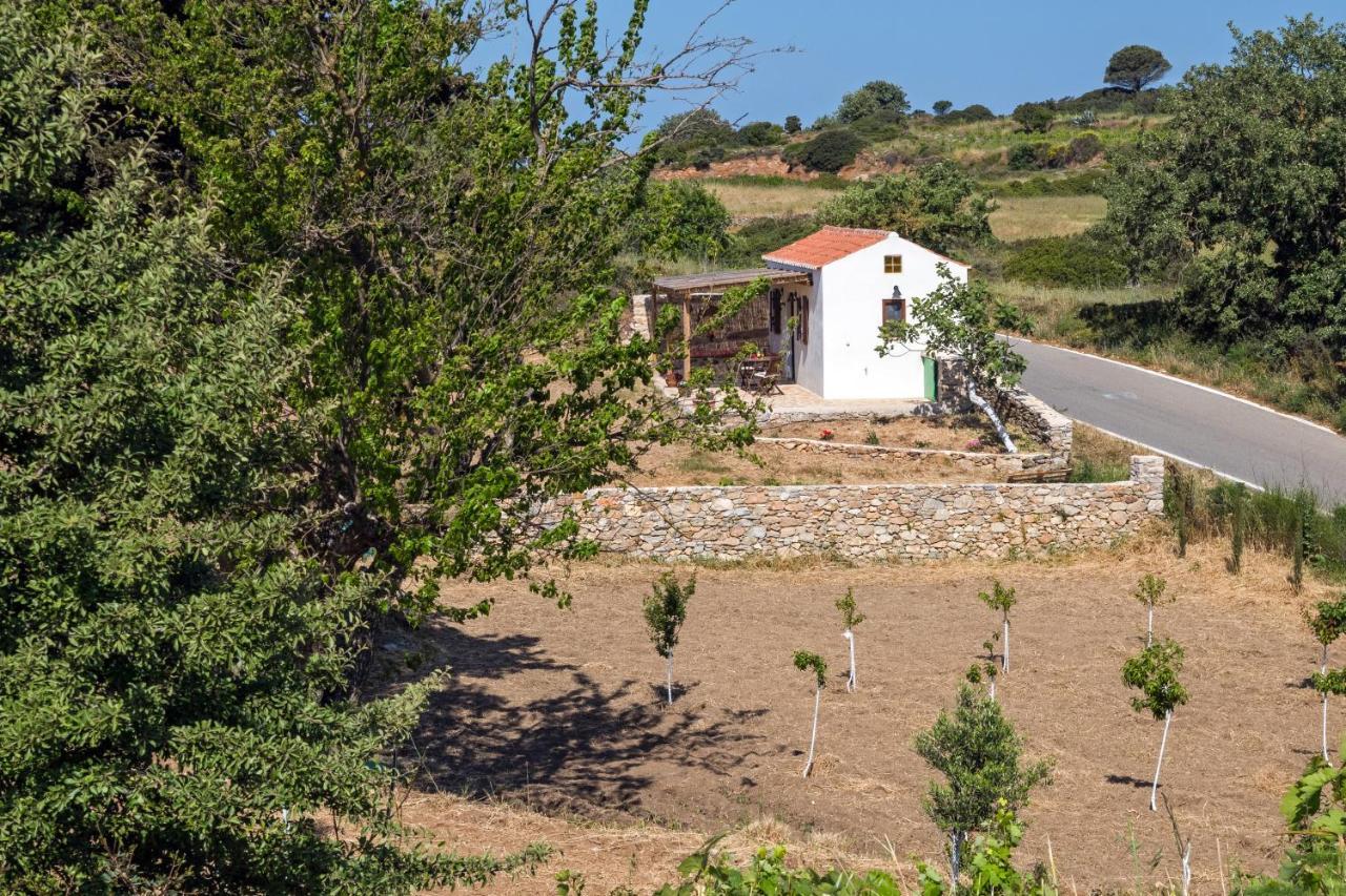فيلا The Pigeon House Potamos  المظهر الخارجي الصورة