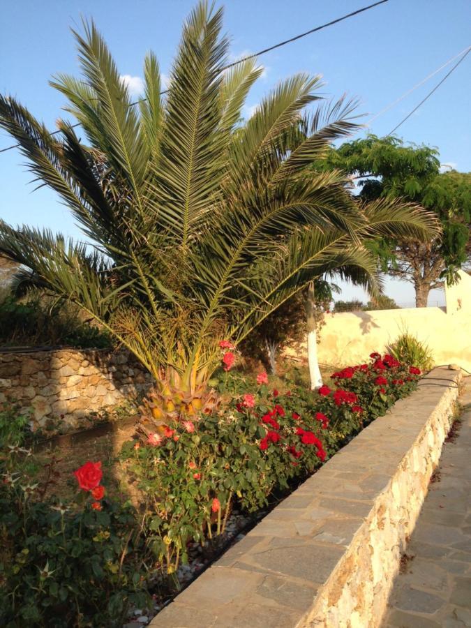 فيلا The Pigeon House Potamos  المظهر الخارجي الصورة