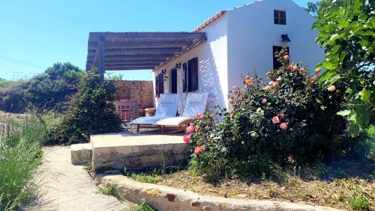 فيلا The Pigeon House Potamos  المظهر الخارجي الصورة